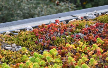 the cost of Labost green roof installation